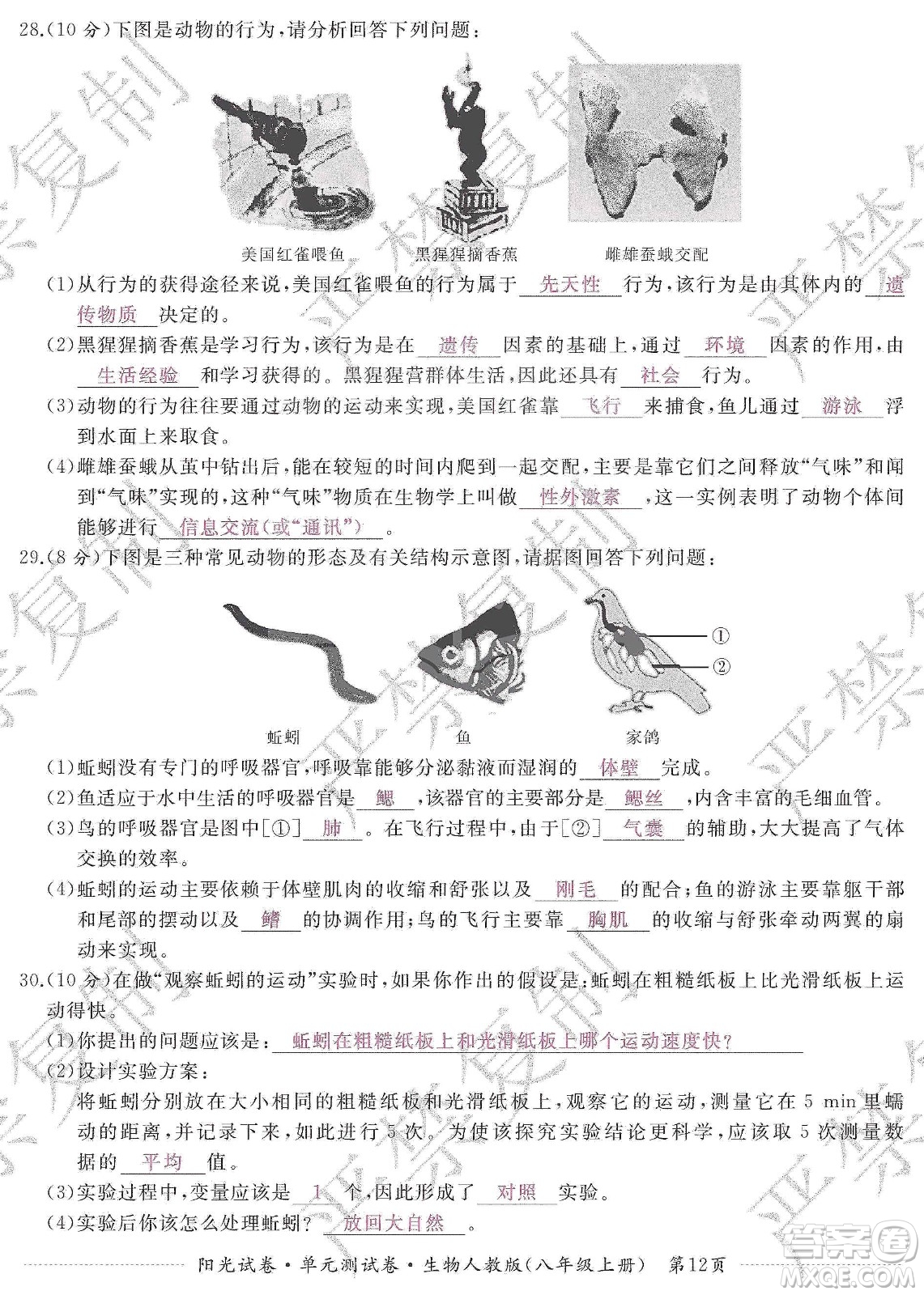 江西高校出版社2019陽(yáng)光試卷單元測(cè)試卷八年級(jí)生物上冊(cè)人教版答案