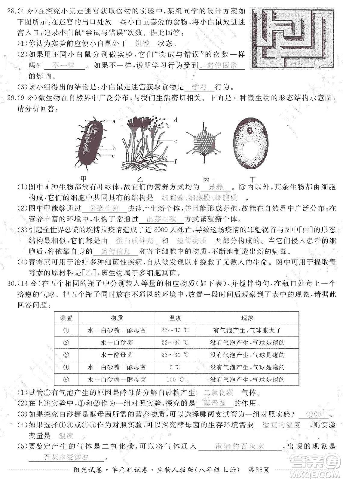 江西高校出版社2019陽(yáng)光試卷單元測(cè)試卷八年級(jí)生物上冊(cè)人教版答案