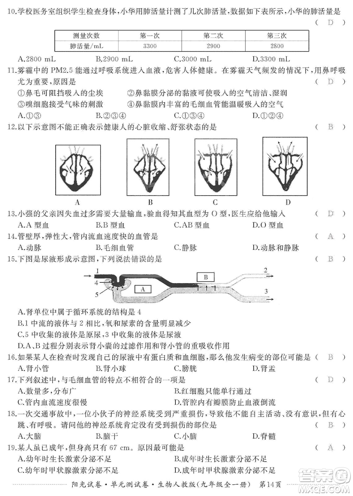 江西高校出版社2019陽光試卷單元測試卷九年級生物全一冊人教版答案