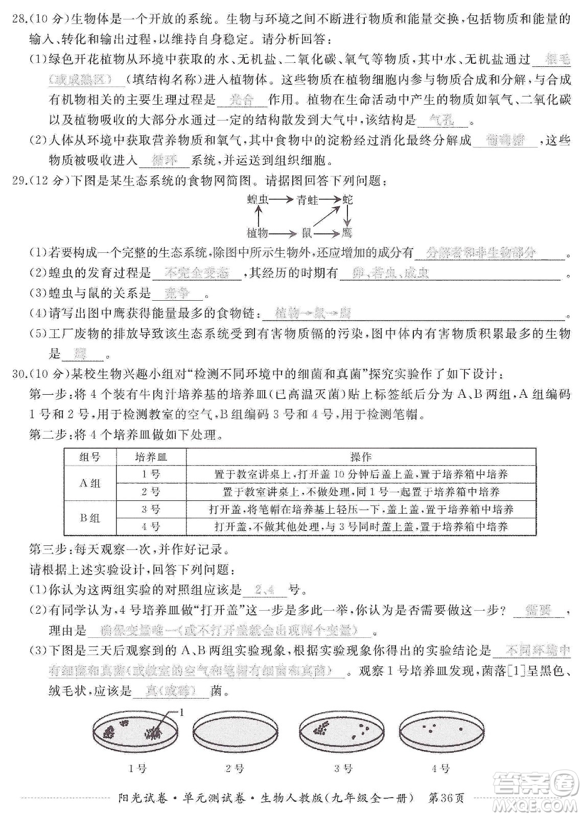 江西高校出版社2019陽光試卷單元測試卷九年級生物全一冊人教版答案