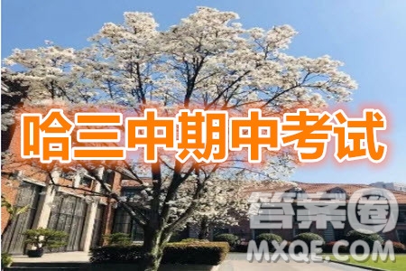 哈三中2019-2020學(xué)年度高三上期中考試語(yǔ)文試卷及答案