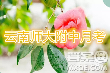 云南師大附中2020屆高考適應(yīng)性月考卷四理科數(shù)學(xué)試題及答案