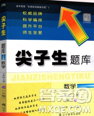 2019年尖子生題庫數(shù)學(xué)二年級(jí)上冊(cè)R版人教版參考答案