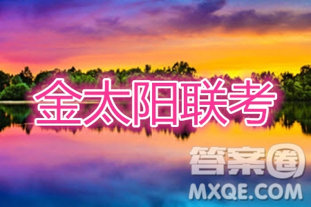 2020屆金太陽全國11月大聯考高三政治答案