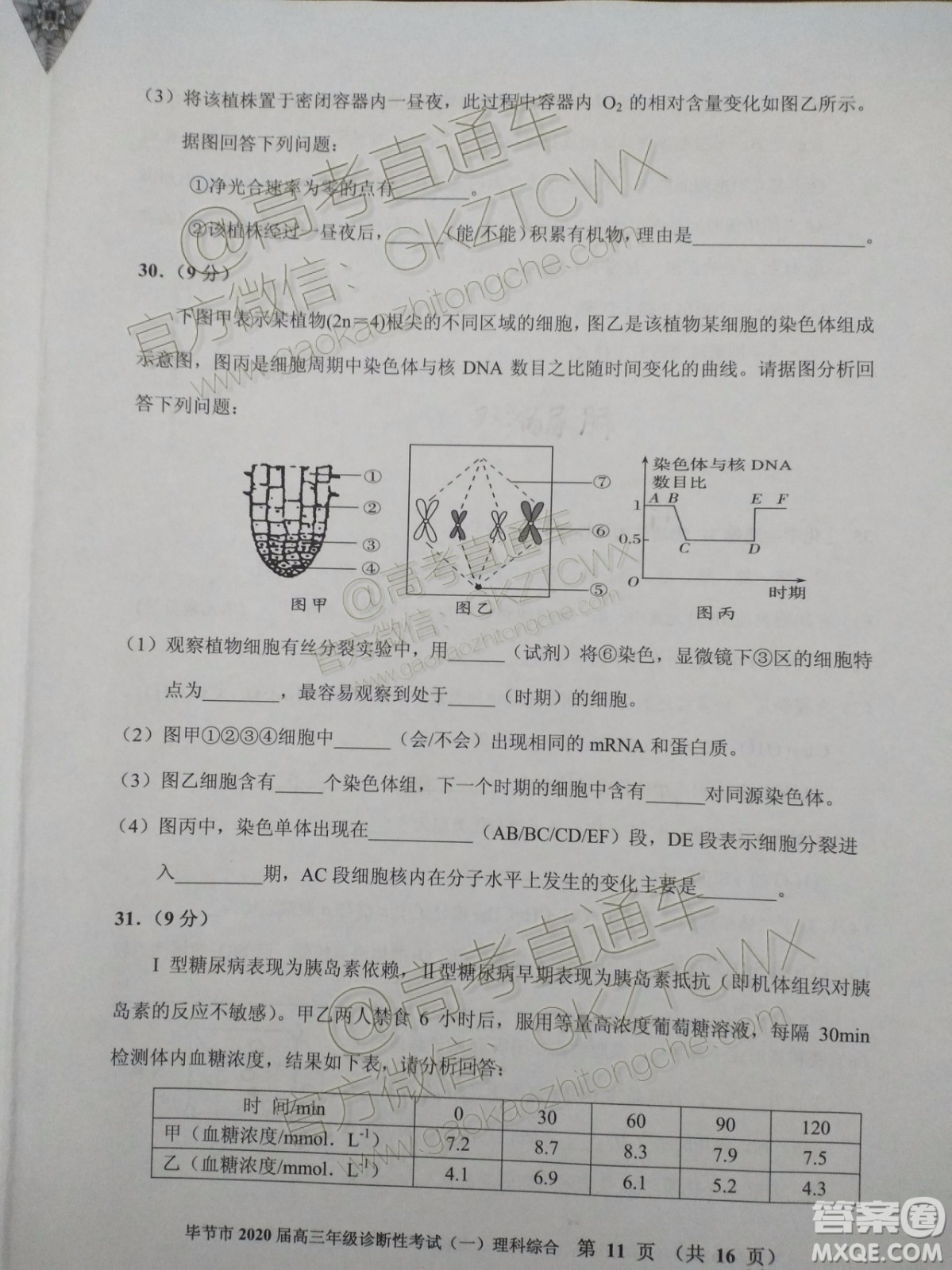 畢節(jié)市2020屆高三年級(jí)診斷性考試一理科綜合試題及答案