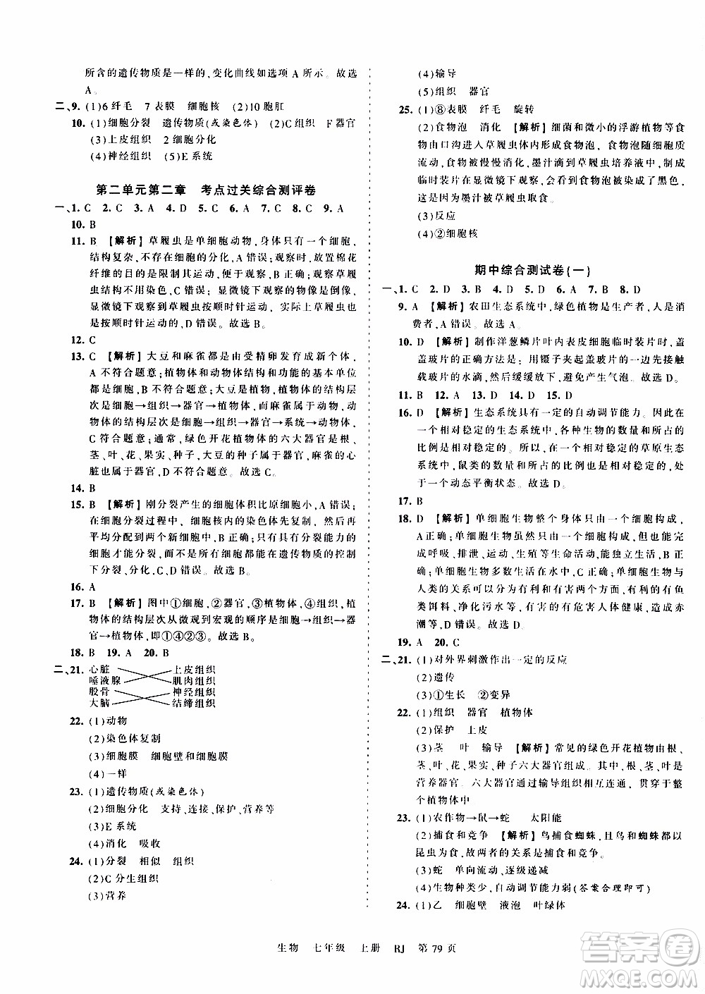 2019王朝霞考點梳理時習卷生物七年級上冊RJ版人教版參考答案