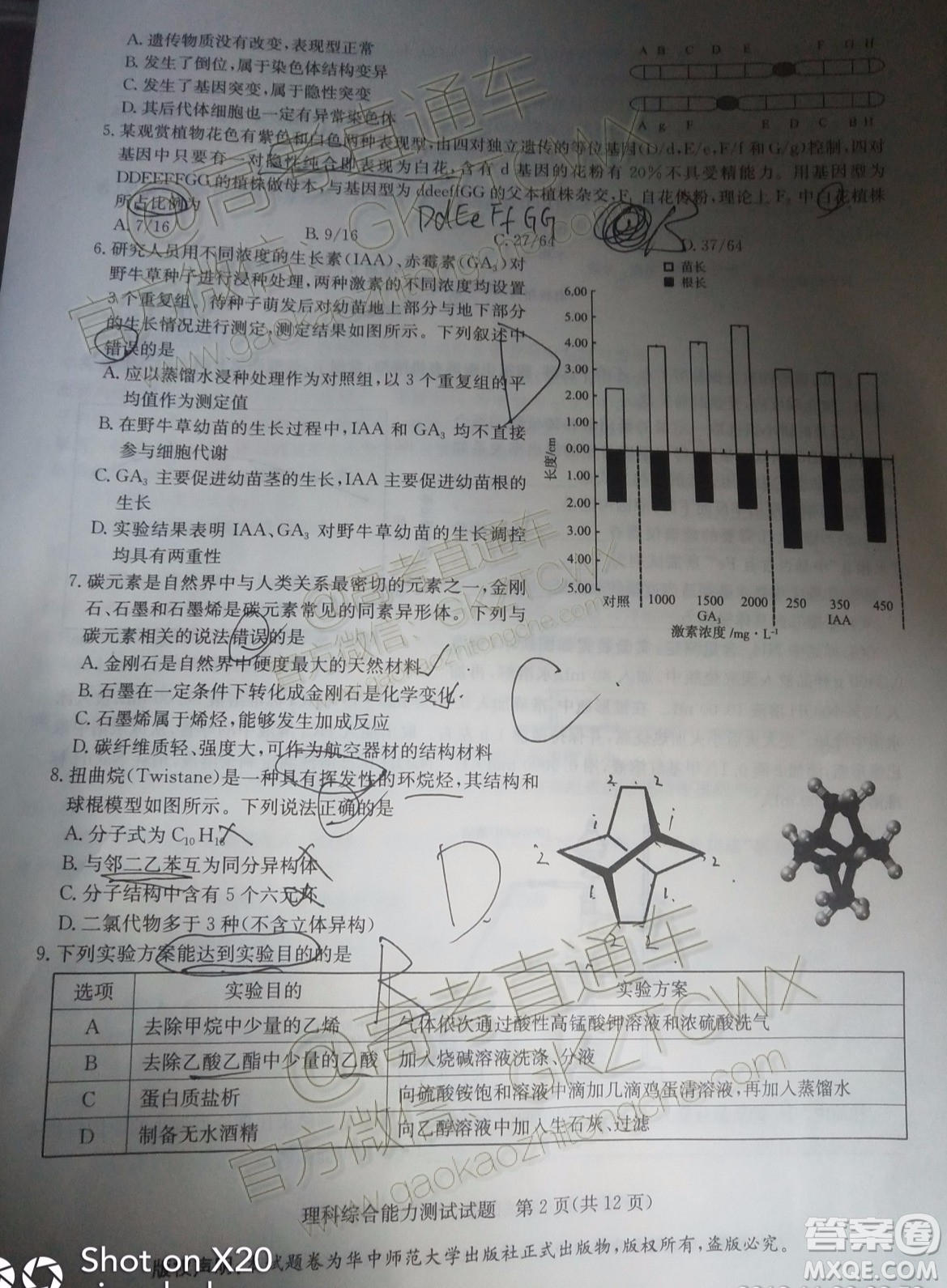 華大新高考聯(lián)盟2020屆高三11月教學(xué)質(zhì)量測評理科綜合試題及答案