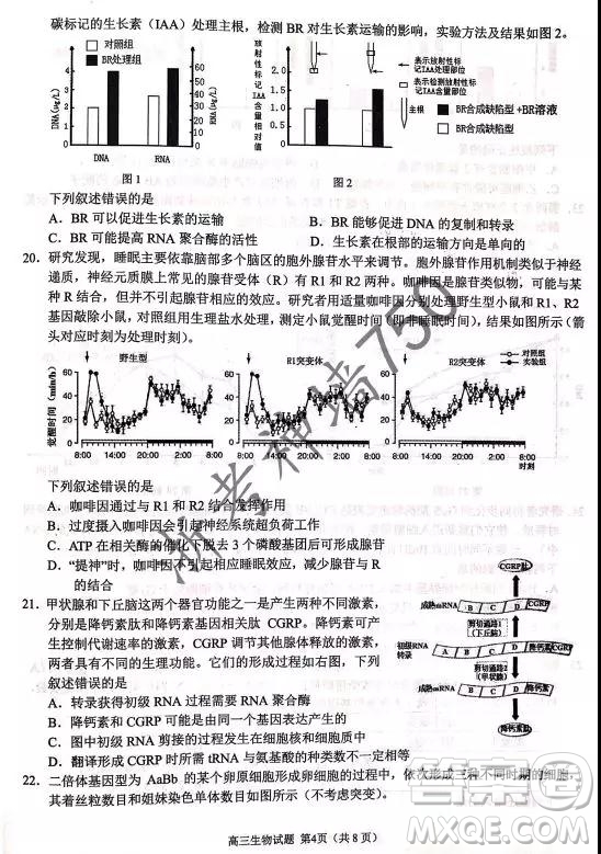 2019年浙江省七彩陽(yáng)光新高考研究聯(lián)盟高考適應(yīng)性考試高三生物試題及參考答案