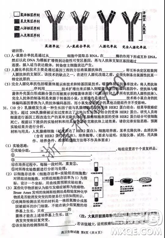 2019年浙江省七彩陽(yáng)光新高考研究聯(lián)盟高考適應(yīng)性考試高三生物試題及參考答案