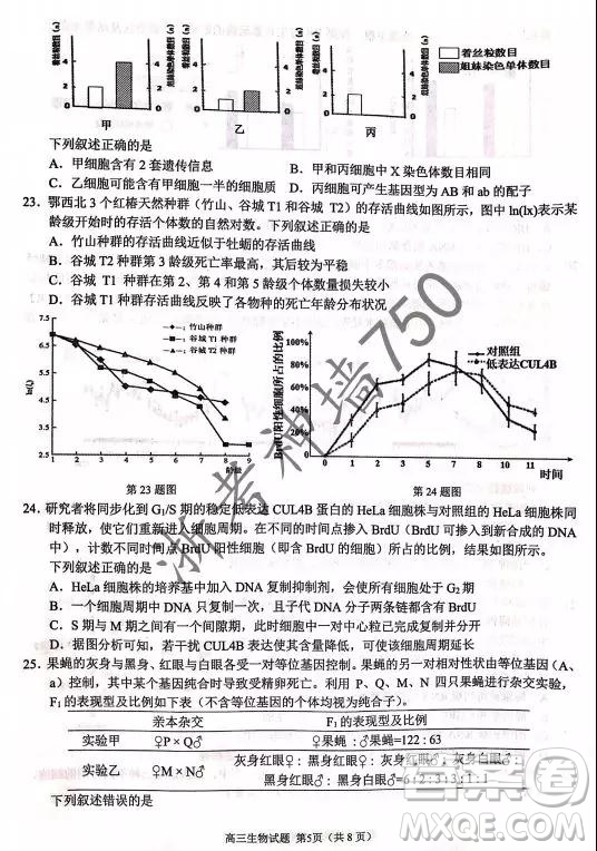 2019年浙江省七彩陽(yáng)光新高考研究聯(lián)盟高考適應(yīng)性考試高三生物試題及參考答案