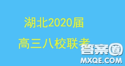 湖北2020屆高三八校第一次聯(lián)考文科數(shù)學(xué)試題答案