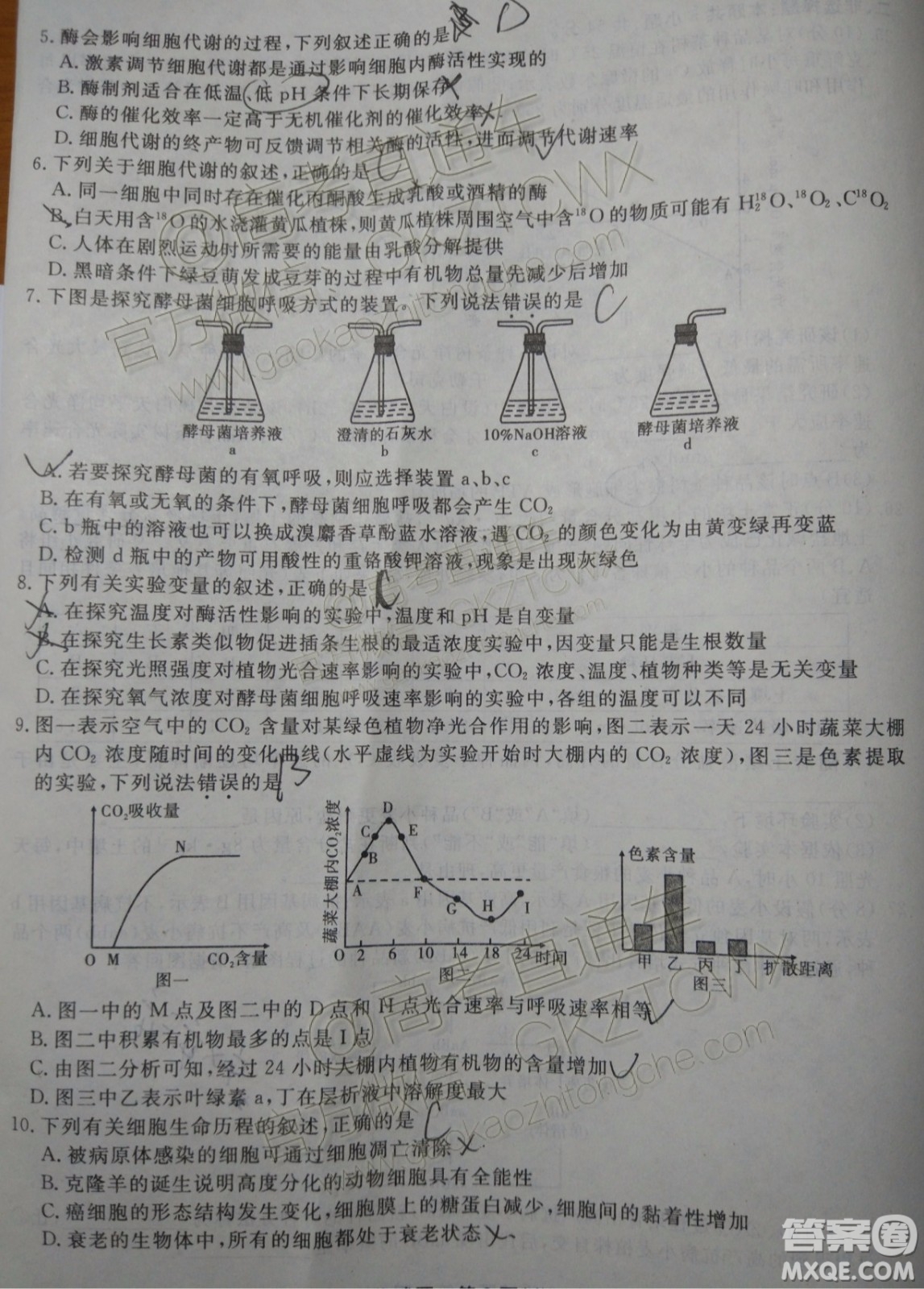 2020屆湖南省五市十校教研共同體聯(lián)考生物試題及參考答案