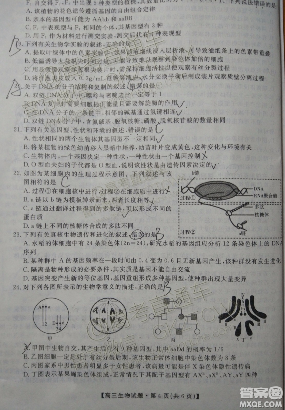 2020屆湖南省五市十校教研共同體聯(lián)考生物試題及參考答案