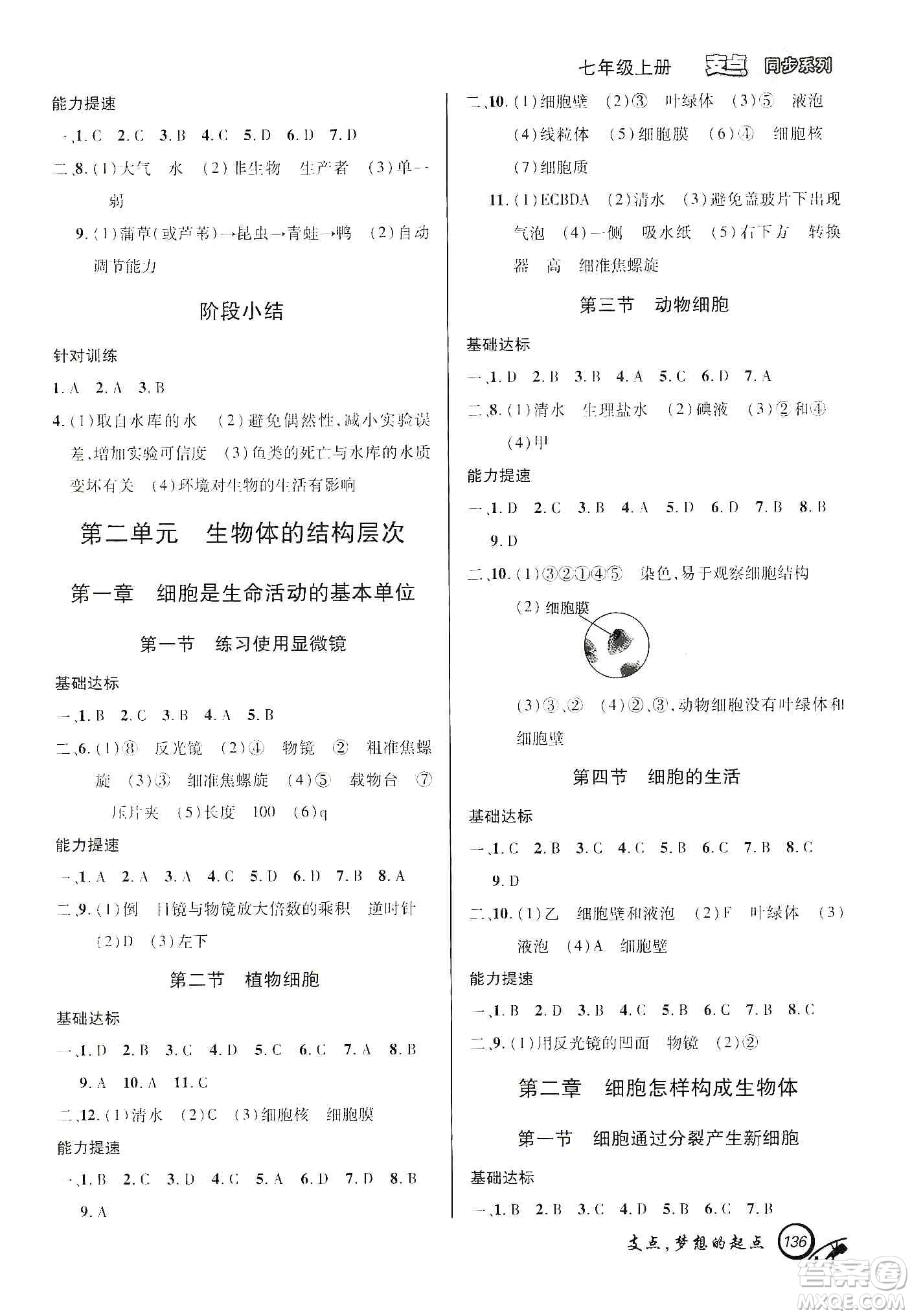 銘文文化2019支點七年級生物上冊人教版江西專版答案