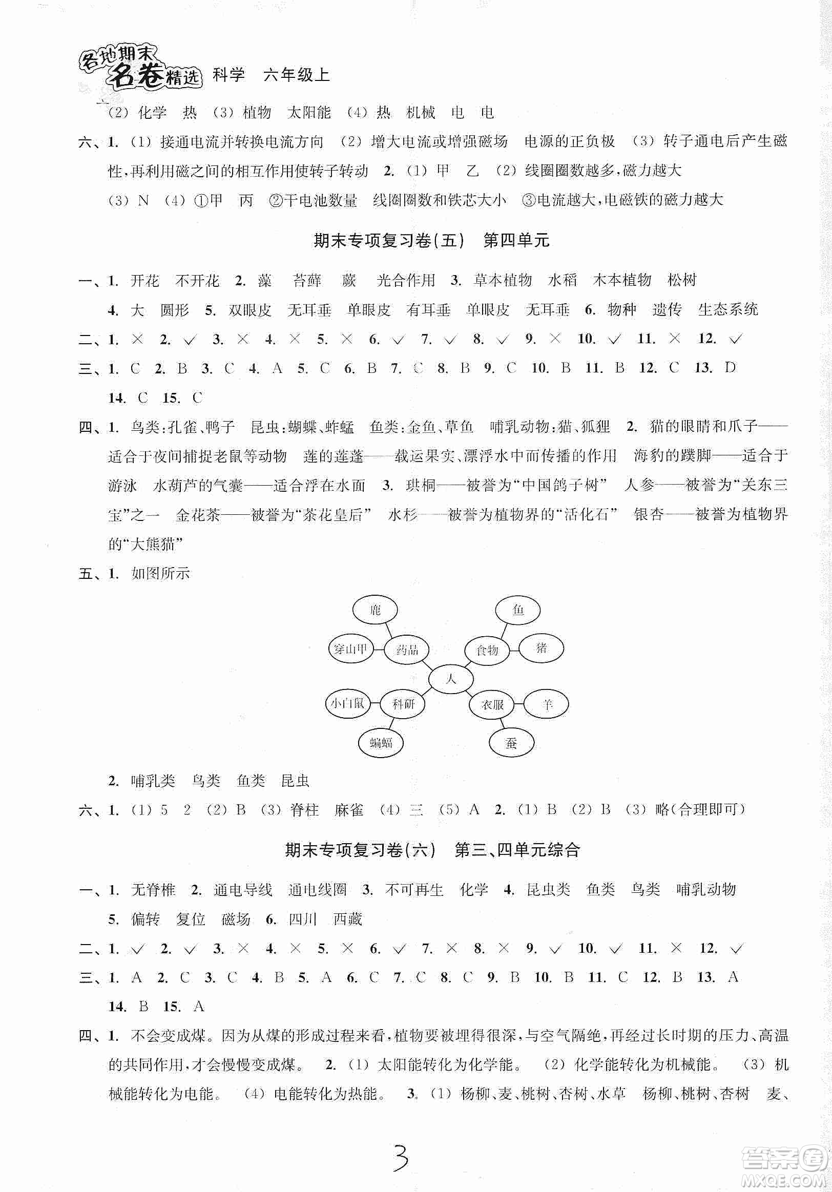 浙江教育出版社2019各地期末名卷精選六年級科學(xué)上冊人教版答案