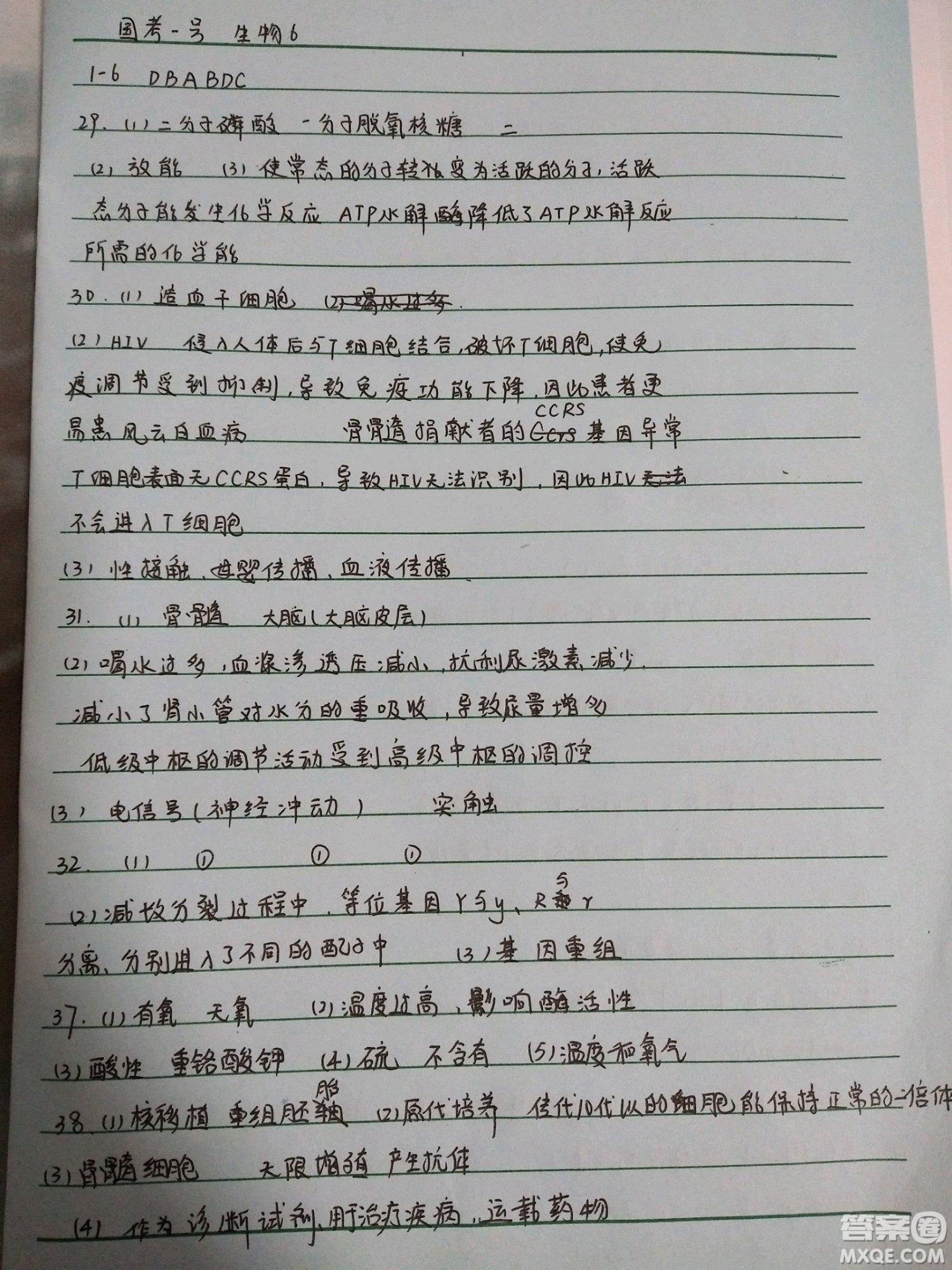 國考1號高中2020屆畢業(yè)班基礎知識滾動測試6生物答案