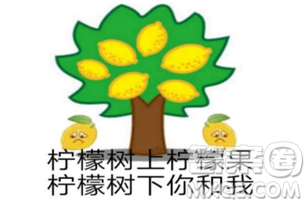 檸檬精英語怎么說 檸檬精用英語怎么解釋