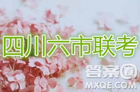 2020屆四川六市廣安廣元眉山逐寧資陽雅安聯(lián)考數(shù)學文史類答案