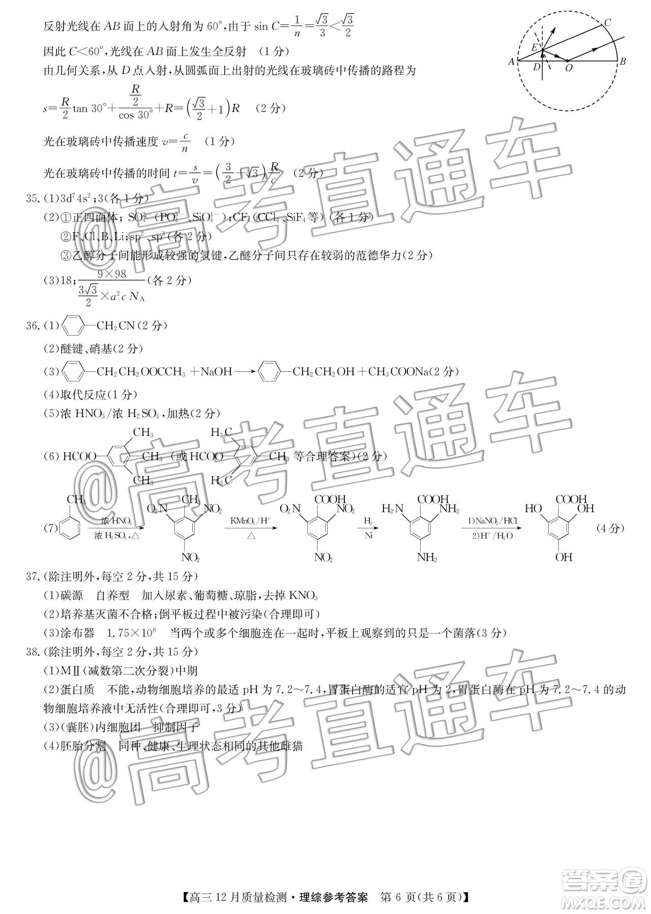 九師聯(lián)盟2019-2020學(xué)年高三12月質(zhì)量監(jiān)測(cè)理科綜合答案