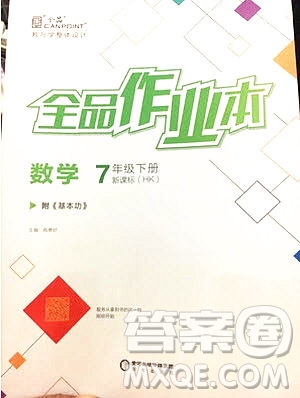 陽(yáng)光出版社2020年全品作業(yè)本數(shù)學(xué)七年級(jí)下冊(cè)滬科版參考答案