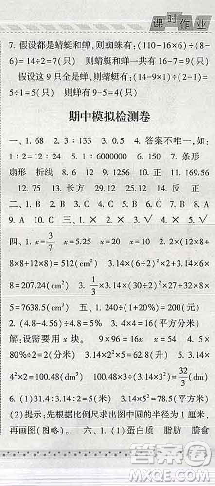 寧夏人民教育出版社2020春經(jīng)綸學(xué)典課時作業(yè)六年級數(shù)學(xué)下冊青島版答案