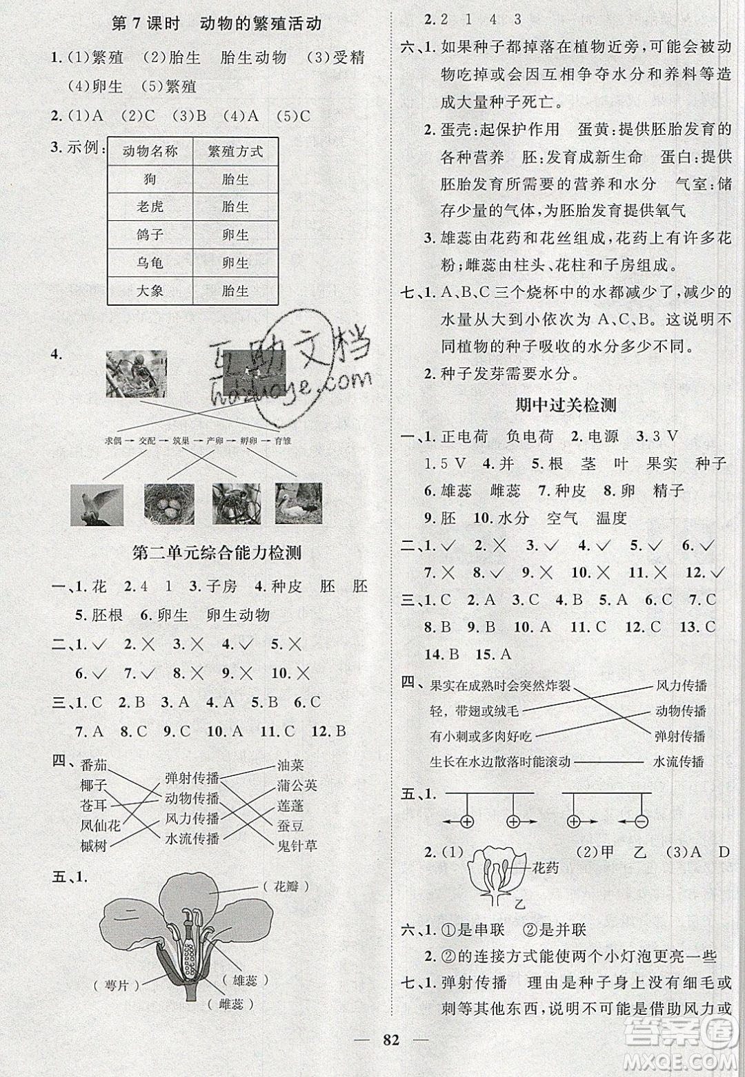 宇軒圖書2020春陽光同學(xué)課時優(yōu)化作業(yè)科學(xué)四年級下冊教科版答案