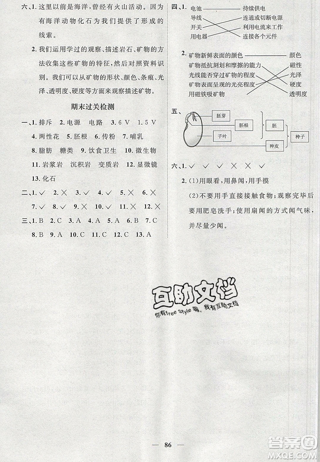 宇軒圖書2020春陽光同學(xué)課時優(yōu)化作業(yè)科學(xué)四年級下冊教科版答案