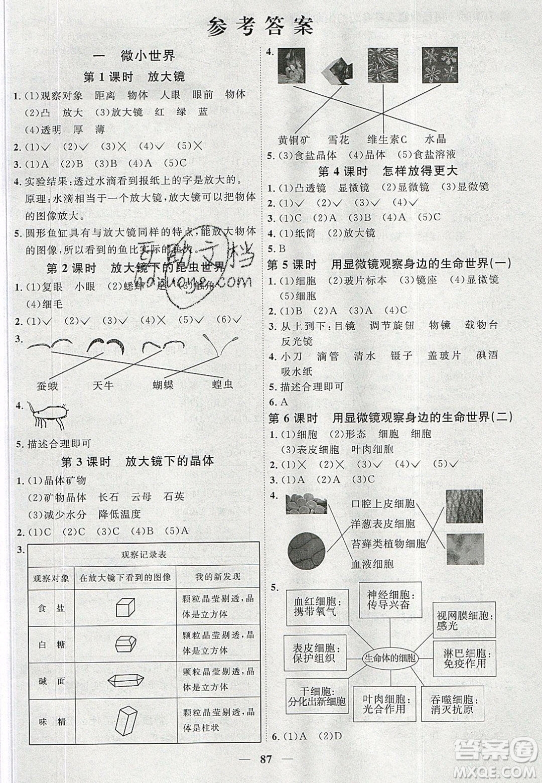 宇軒圖書2020春陽光同學課時優(yōu)化作業(yè)六年級科學下冊教科版答案