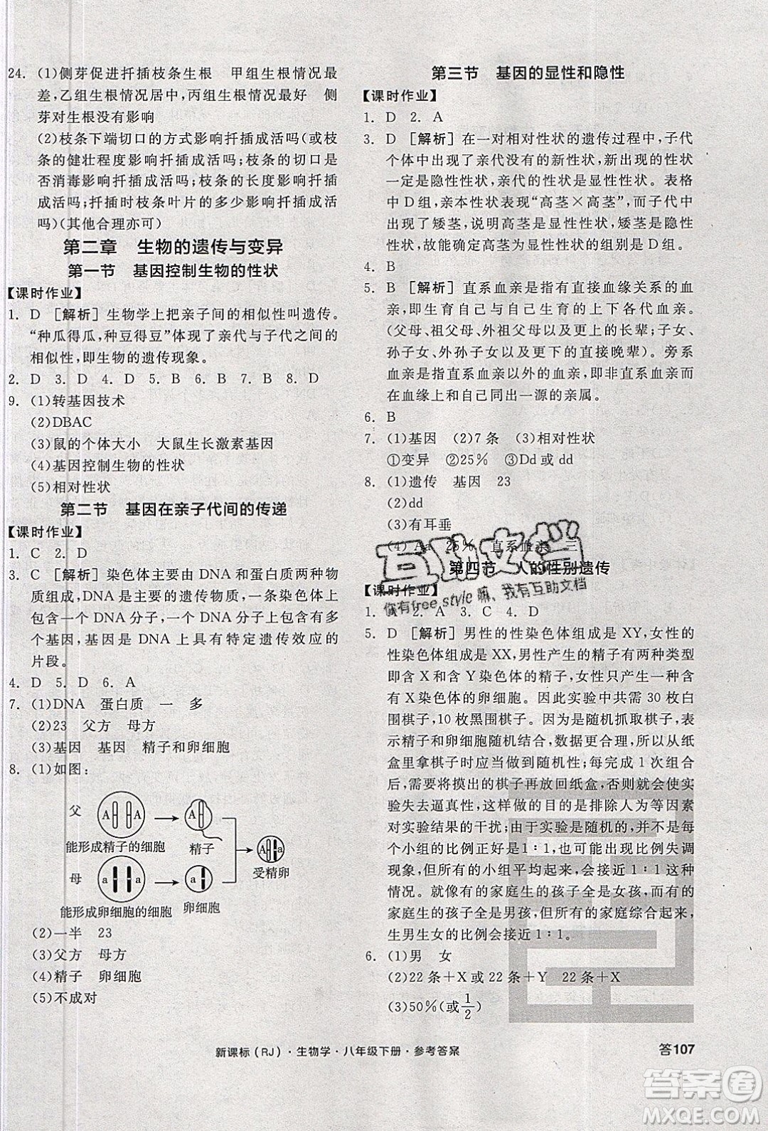 陽(yáng)光出版社2020年全品學(xué)練考生物八年級(jí)下冊(cè)新課標(biāo)RJ人教版答案