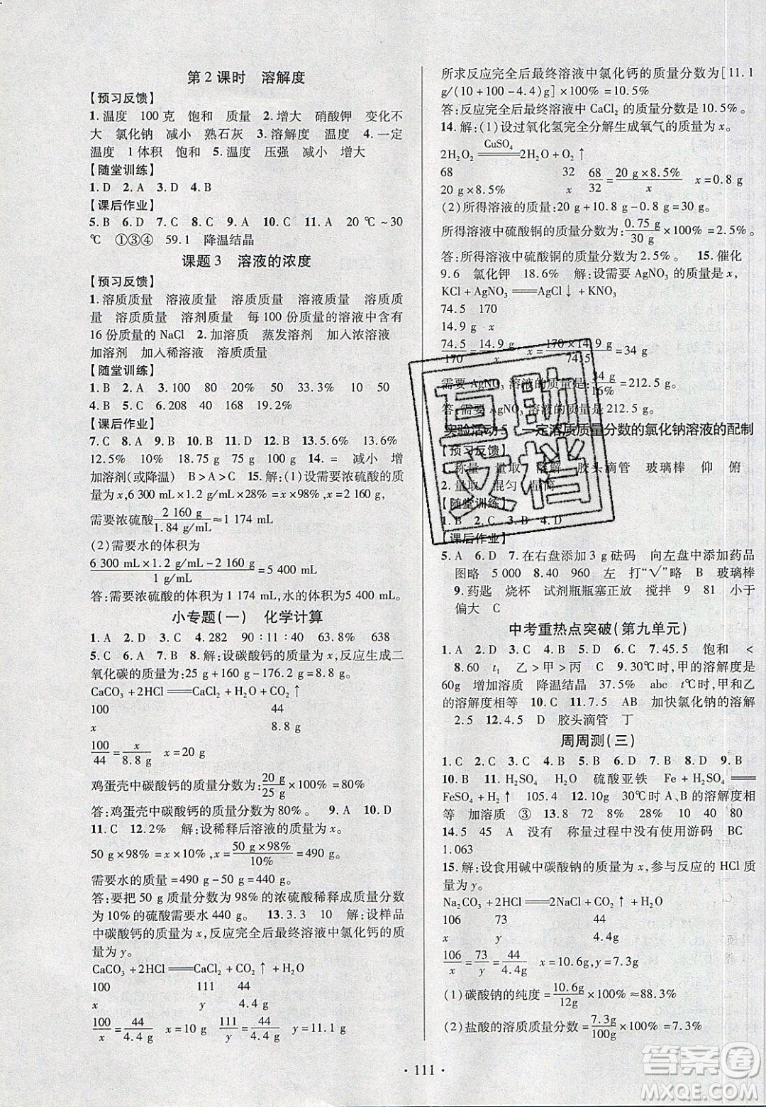 新疆文化出版社2020春課時(shí)掌控九年級(jí)化學(xué)下冊(cè)人教版答案