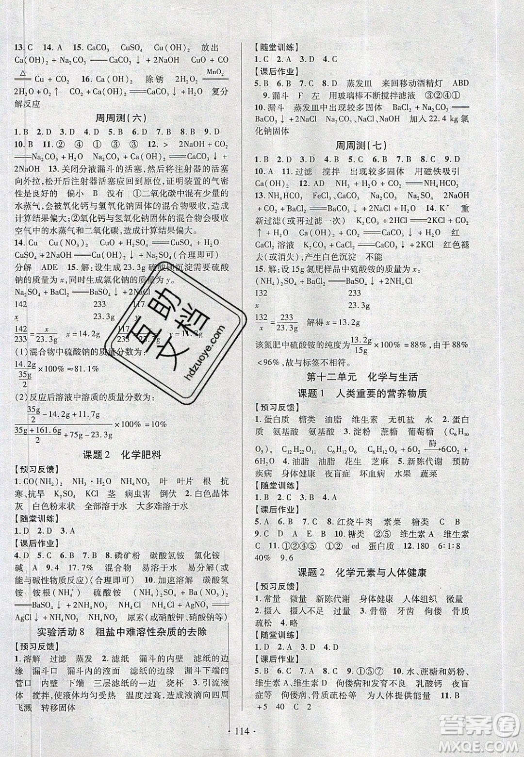 新疆文化出版社2020春課時(shí)掌控九年級(jí)化學(xué)下冊(cè)人教版答案