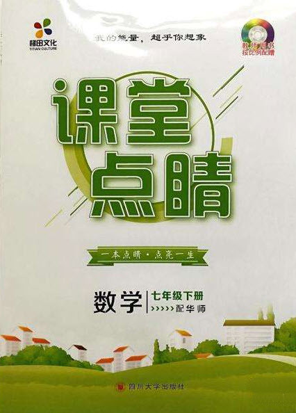 梯田文化2020年課堂點睛數(shù)學七年級下冊華師版參考答案