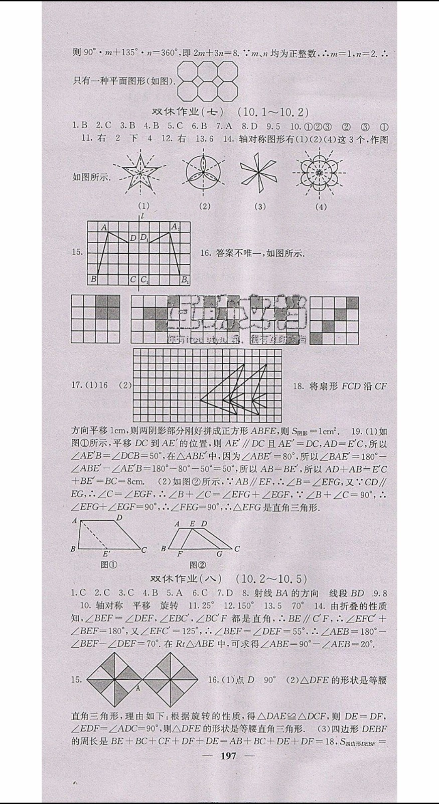 梯田文化2020年課堂點睛數(shù)學七年級下冊華師版參考答案