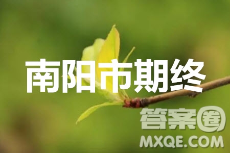 南陽市2019年秋期高中三年級期終質(zhì)量評估理科數(shù)學(xué)答案