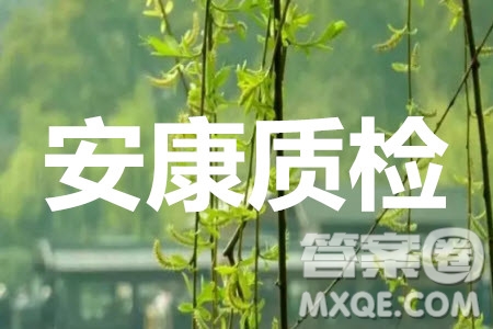 安康市2019-2020學(xué)年度高三年級(jí)教學(xué)質(zhì)量第二次聯(lián)考文科數(shù)學(xué)答案