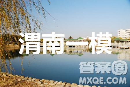 渭南市2020年高三教學(xué)質(zhì)量檢測(cè)一物理試題及答案