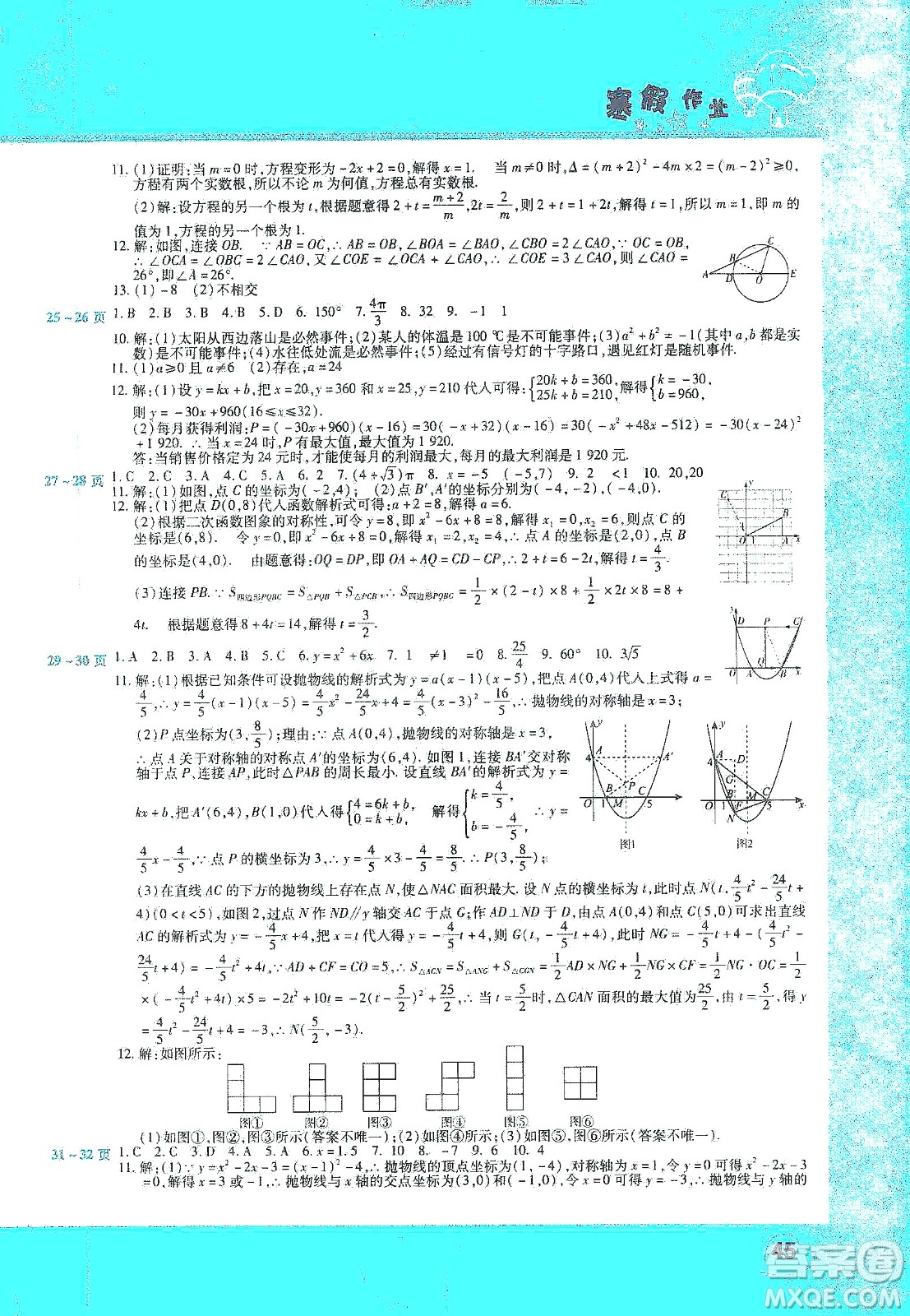 中原農(nóng)民出版社2020年豫新銳圖書假期園地寒假作業(yè)九年級數(shù)學(xué)答案