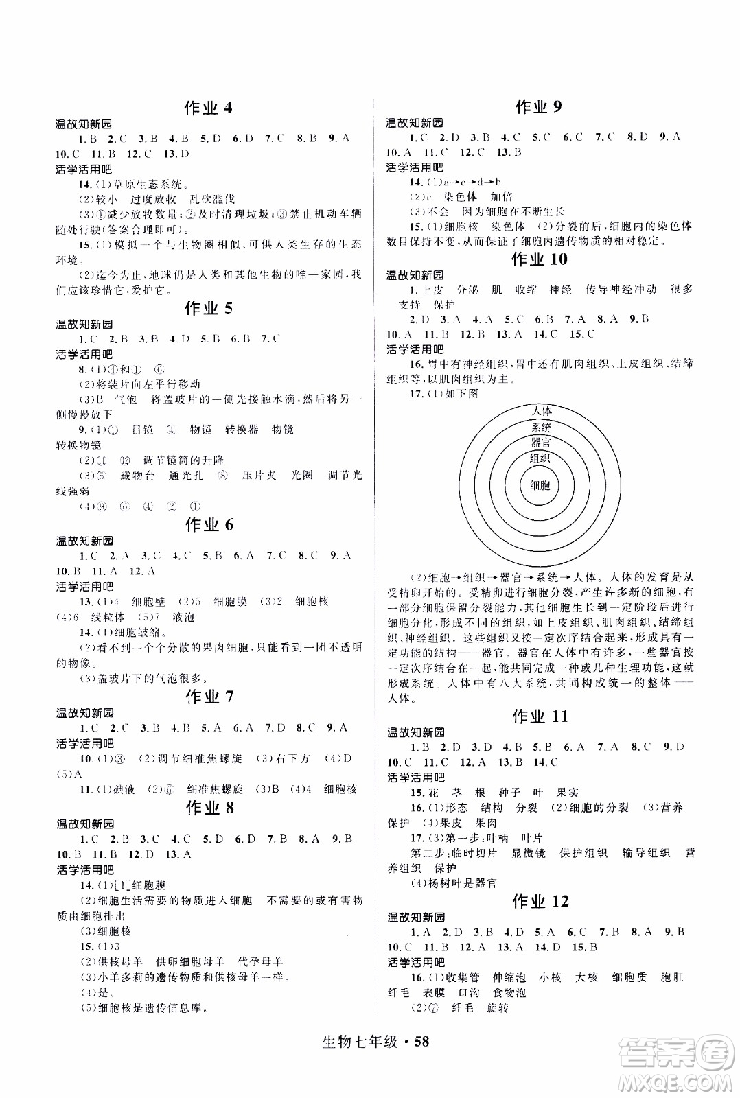 贏在起跑線2020年中學(xué)生快樂寒假生物7年級RJ人教版參考答案