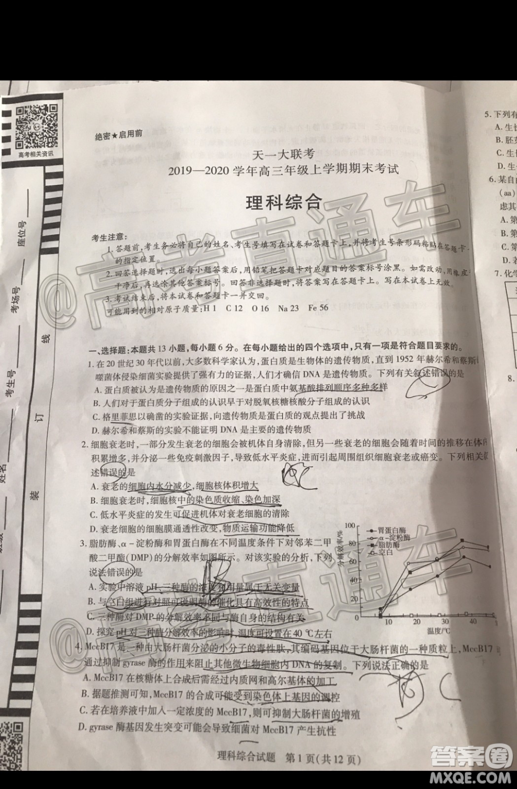 天一大聯(lián)考2019-2020學(xué)年高三上學(xué)期期末考試?yán)砜凭C合試題及答案