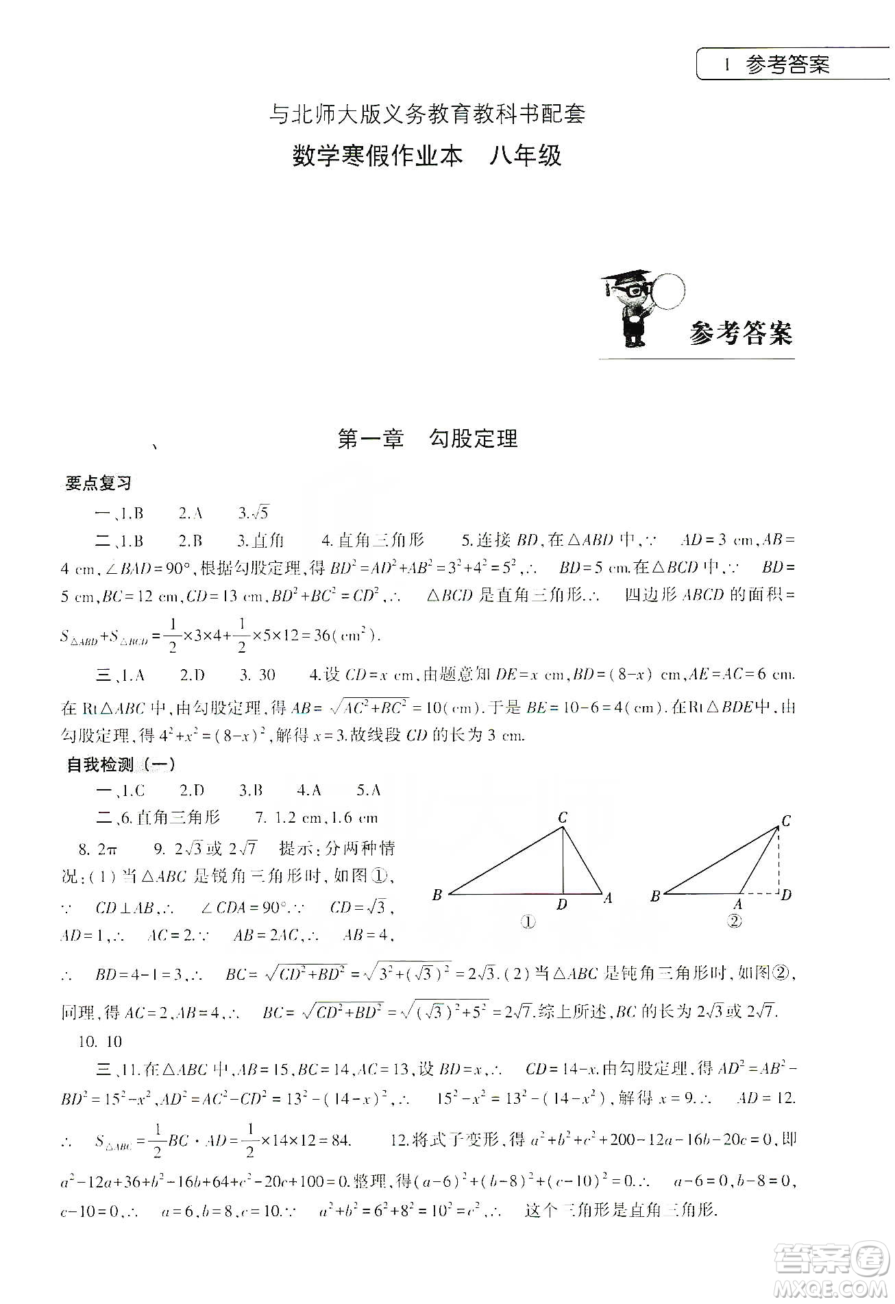 大象出版社2020數(shù)學寒假作業(yè)本八年級北師大版答案