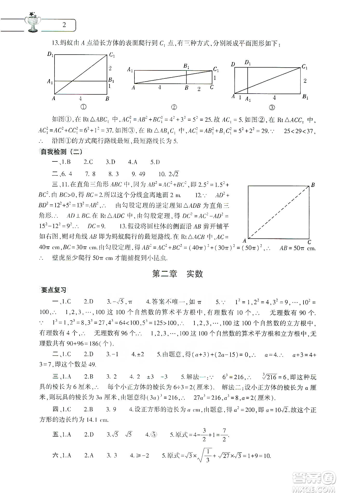 大象出版社2020數(shù)學寒假作業(yè)本八年級北師大版答案