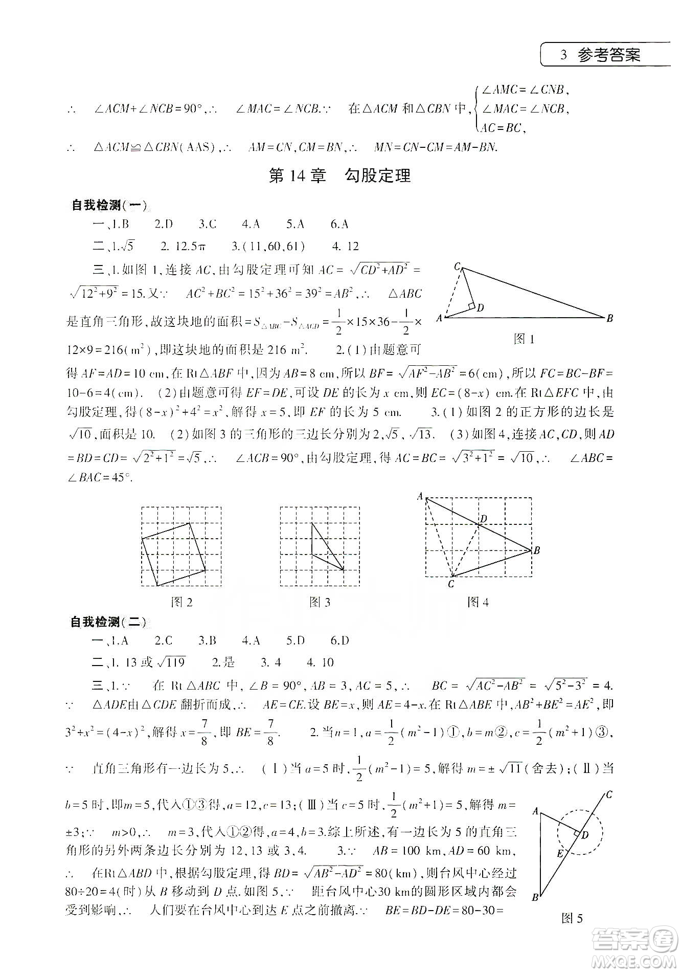 大象出版社2020寒假作業(yè)本八年級數(shù)學英語物理地理生物學合訂本答案