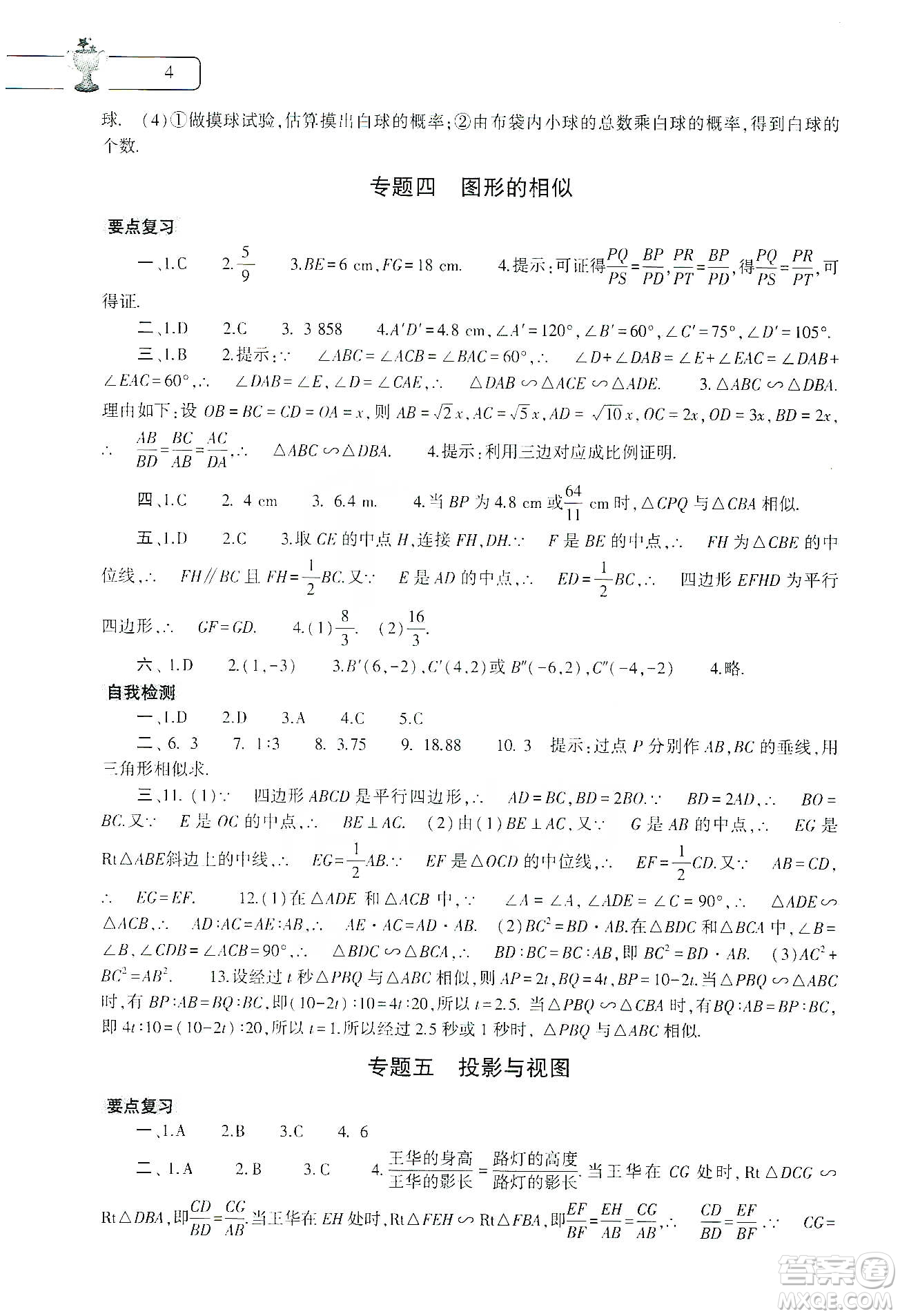 大象出版社2020數(shù)學(xué)寒假作業(yè)本九年級通用版答案