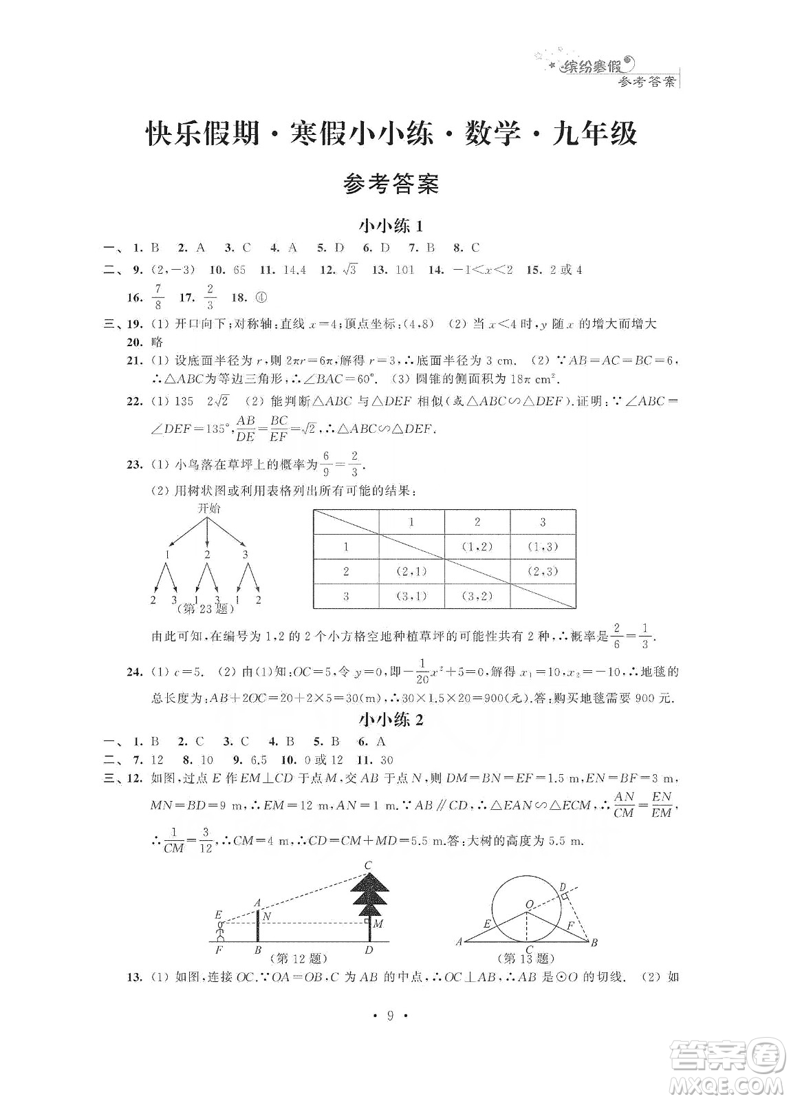 江蘇鳳凰科學(xué)技術(shù)出版社2020快樂假期寒假小小練九年級(jí)語(yǔ)文數(shù)學(xué)英語(yǔ)物理化學(xué)合訂本答案