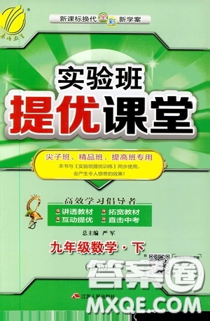 江蘇人民出版社2020實(shí)驗(yàn)班提優(yōu)課堂九年級(jí)數(shù)學(xué)下冊(cè)江蘇科教版答案