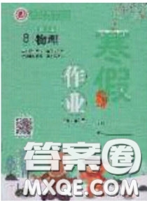 延邊教育出版社2020年快樂(lè)假期寒假作業(yè)八年級(jí)物理人教版參考答案