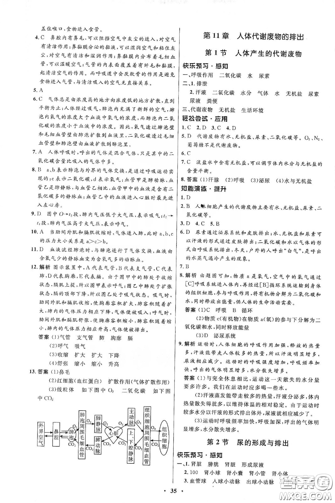 北京師范大學(xué)出版社2020初中同步測(cè)控優(yōu)化設(shè)計(jì)七年級(jí)生物學(xué)下冊(cè)北師大版答案