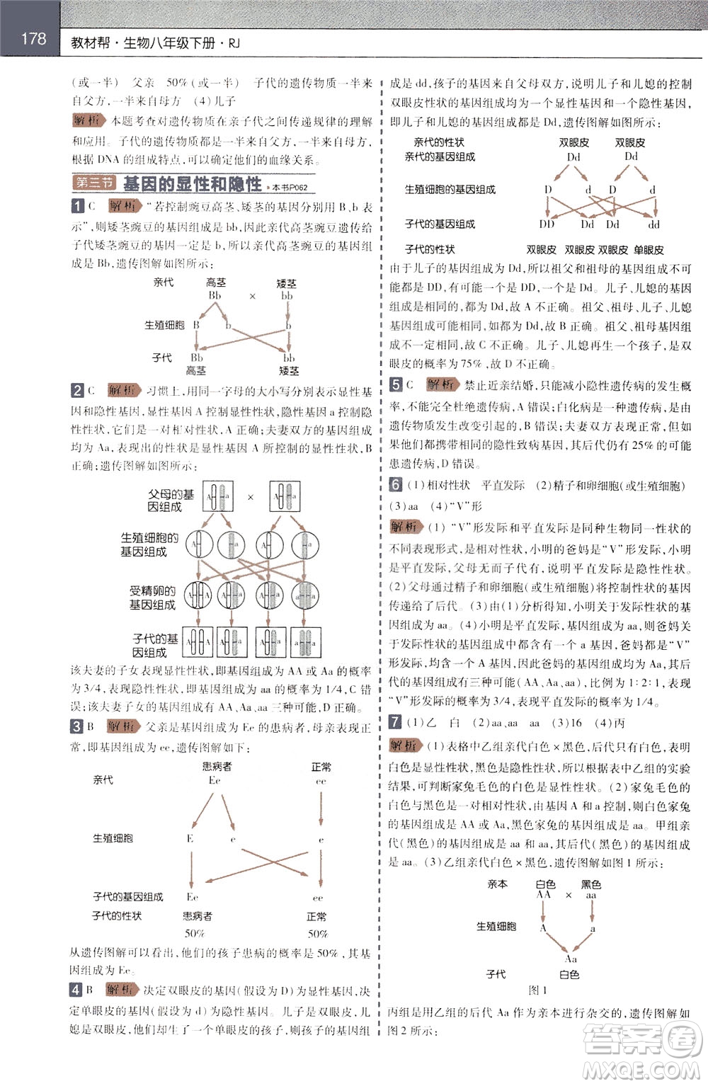 2020年教材幫初中生物八年級(jí)下冊(cè)RJ人教版參考答案