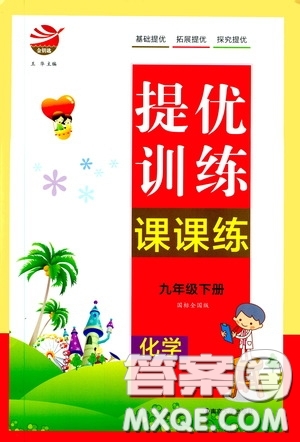 南京大學(xué)出版社2020提優(yōu)訓(xùn)練課課練九年級(jí)化學(xué)下冊國標(biāo)全國版答案