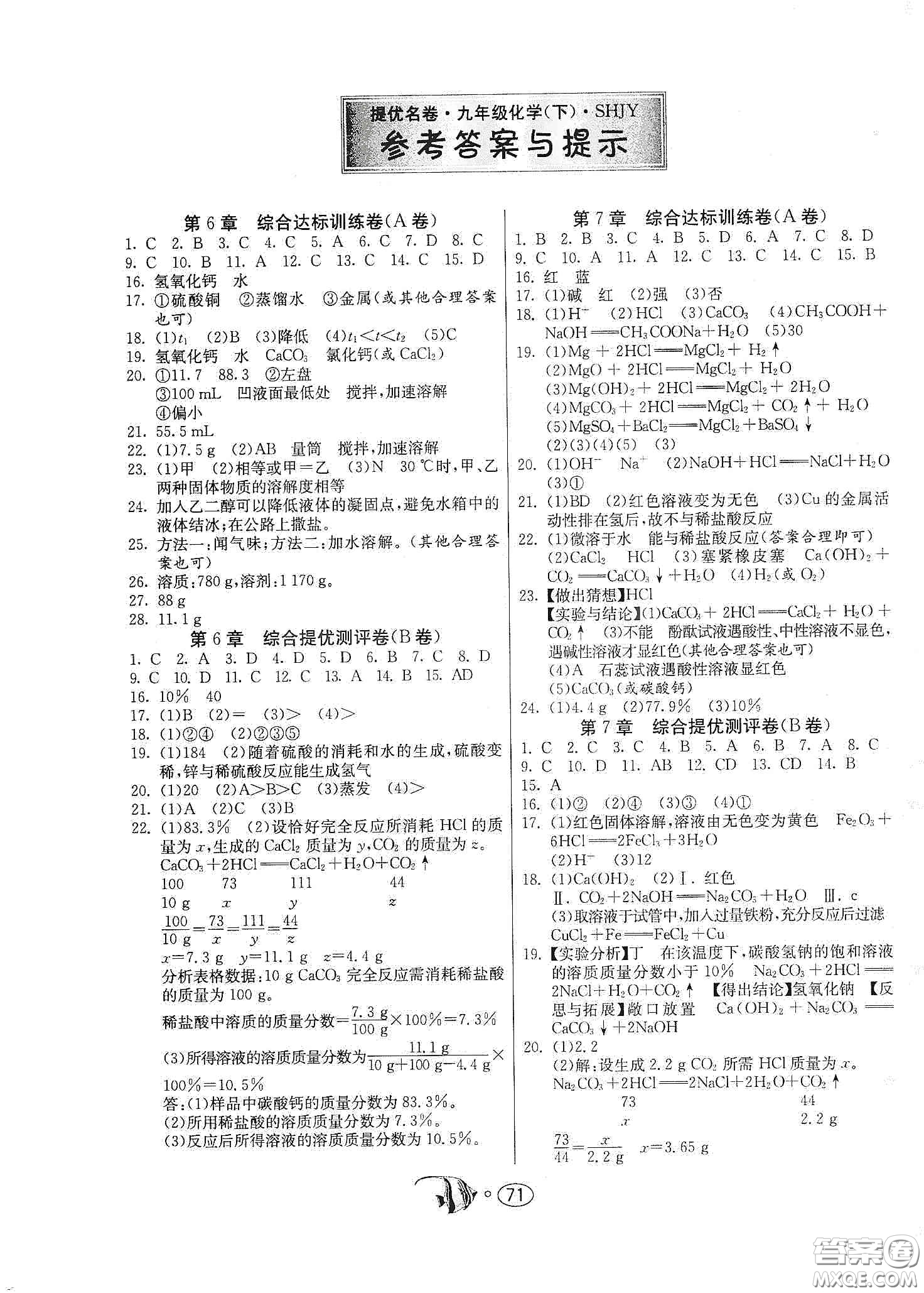 春雨教育2020名牌牛皮卷提優(yōu)名卷九年級(jí)化學(xué)下冊(cè)上海教育版答案